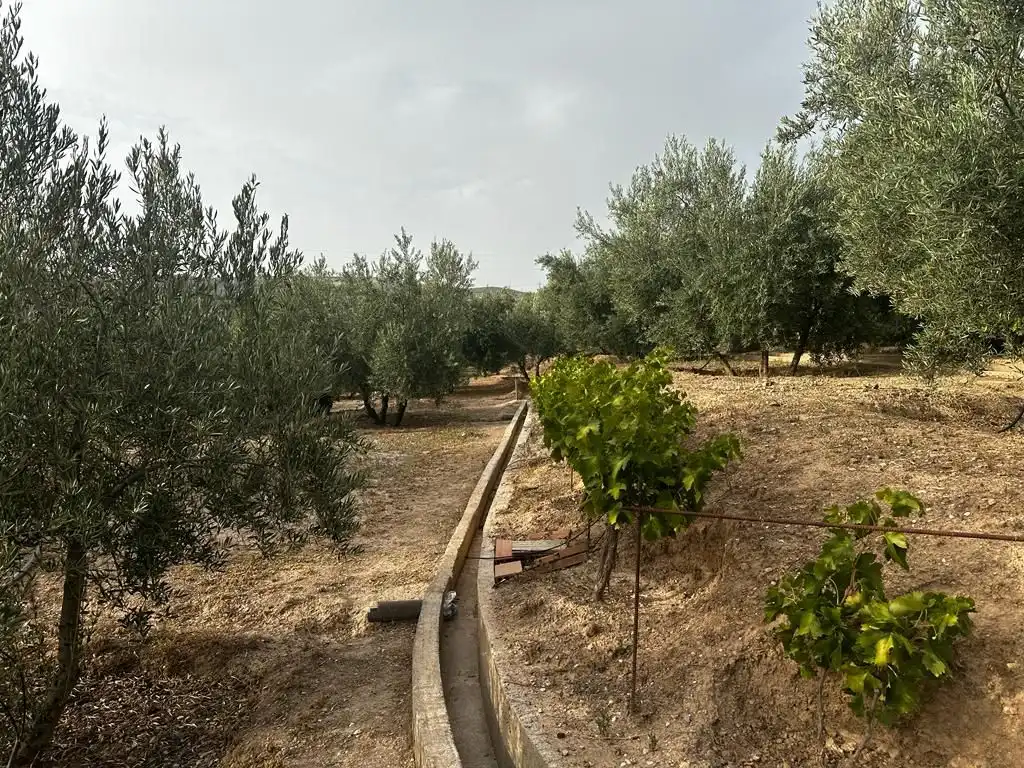 Terrain rustique à vendre à Peligros