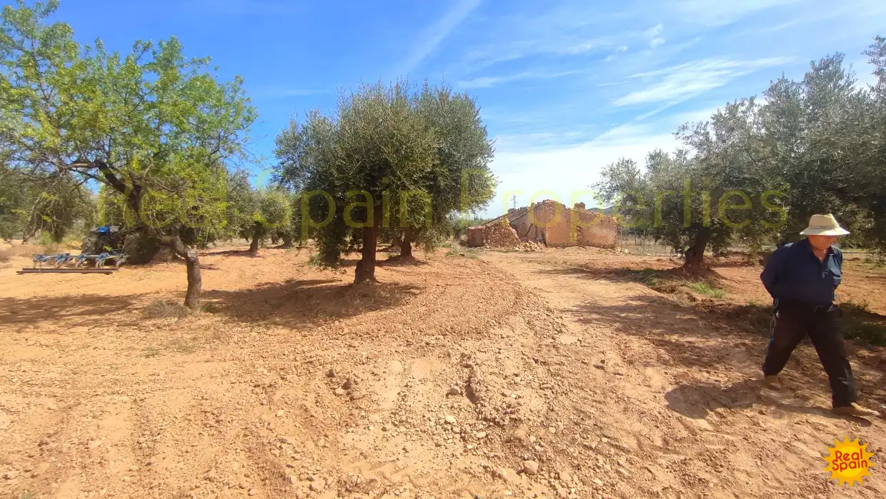 Residential land for sale in Vélez-Rubio, imagen 10