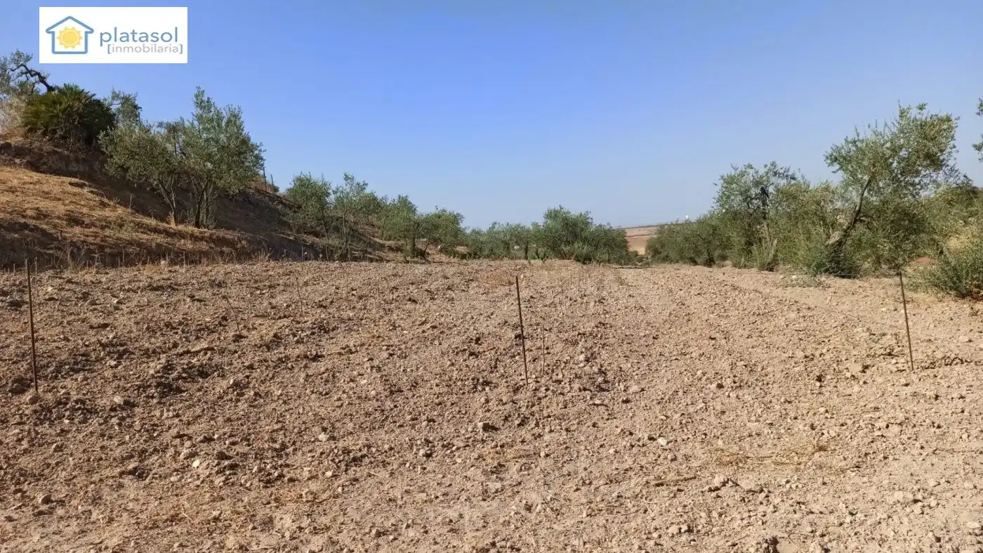 Terreni e lotti in vendita a de la Piedra Caballera, imagen 4