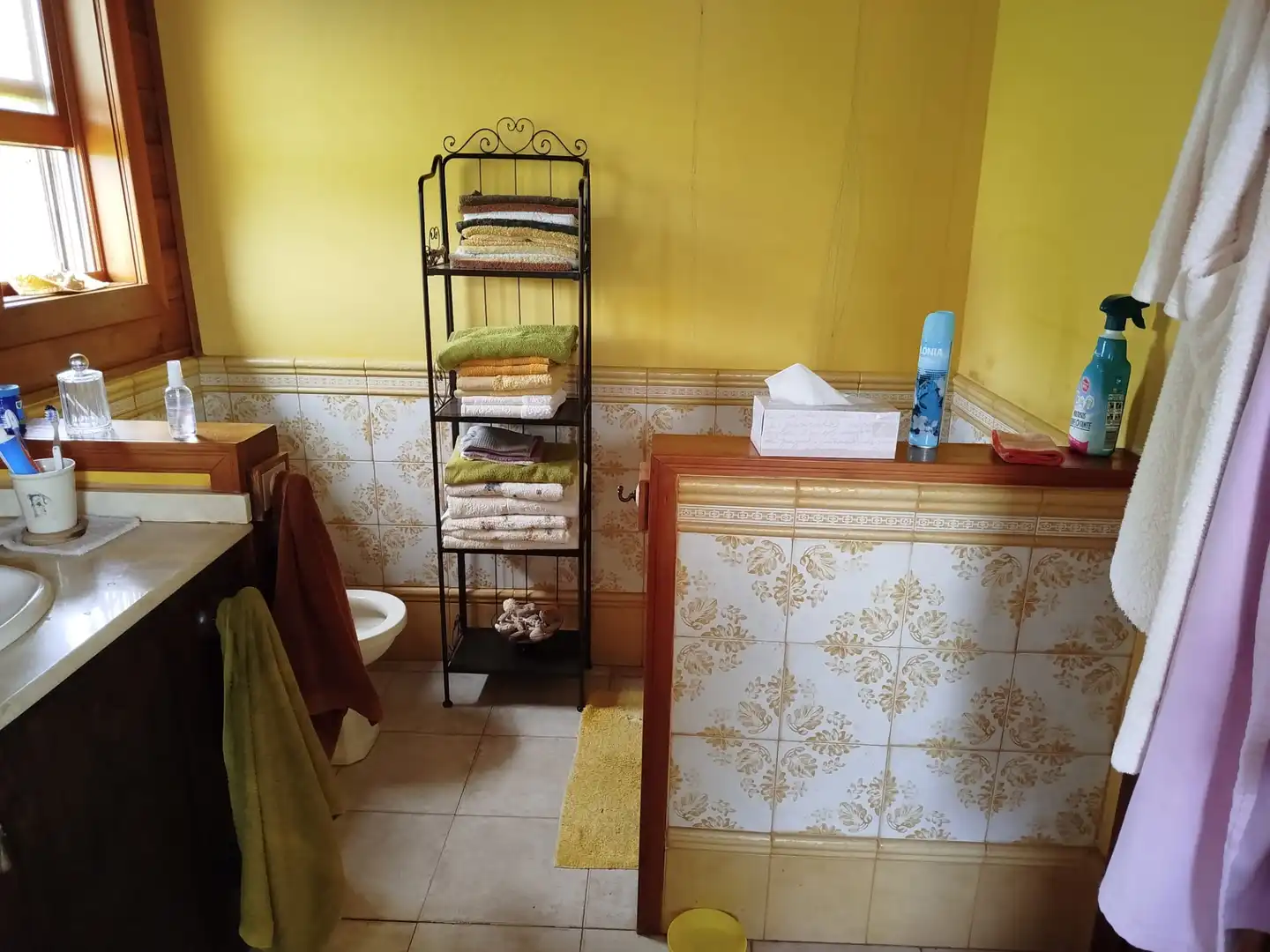 Baño de Casa o chalet en venta en Tacoronte con Jardín privado, Terraza y Trastero