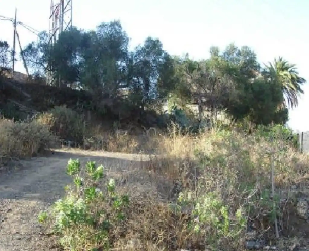 Terrain rustique à vendre à Olivos (A Los), imagen 2