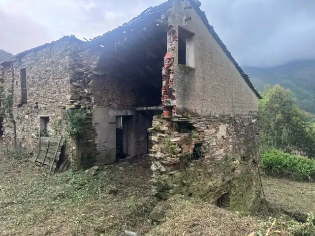 Vista exterior de Finca rústica en venta en Vegadeo