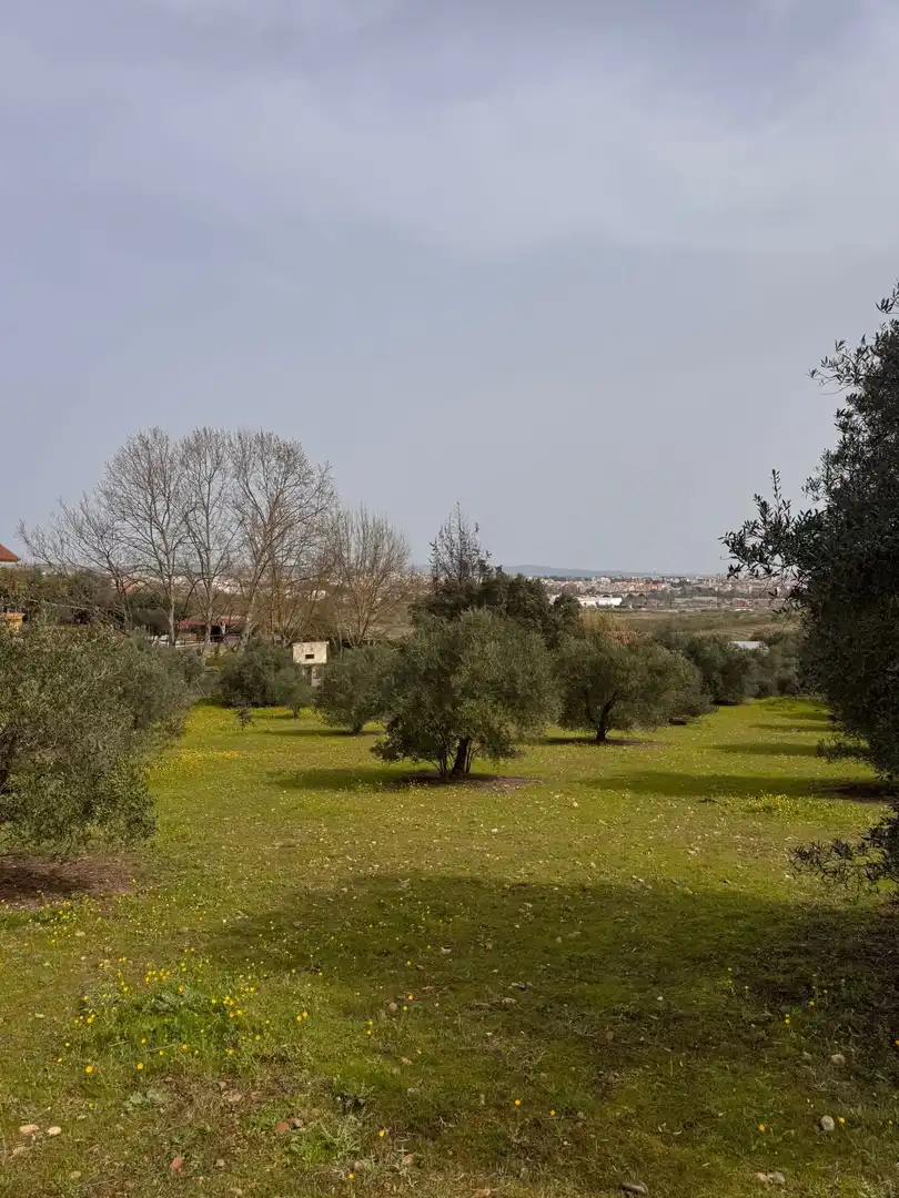 Casa o xalet en venda en Mérida amb Aire condicionat, Calefacció i Jardí privat