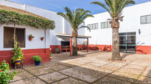 Foto 2 de Finca rústica en venta en Carretera Guadajoz , Carmona, Sevilla