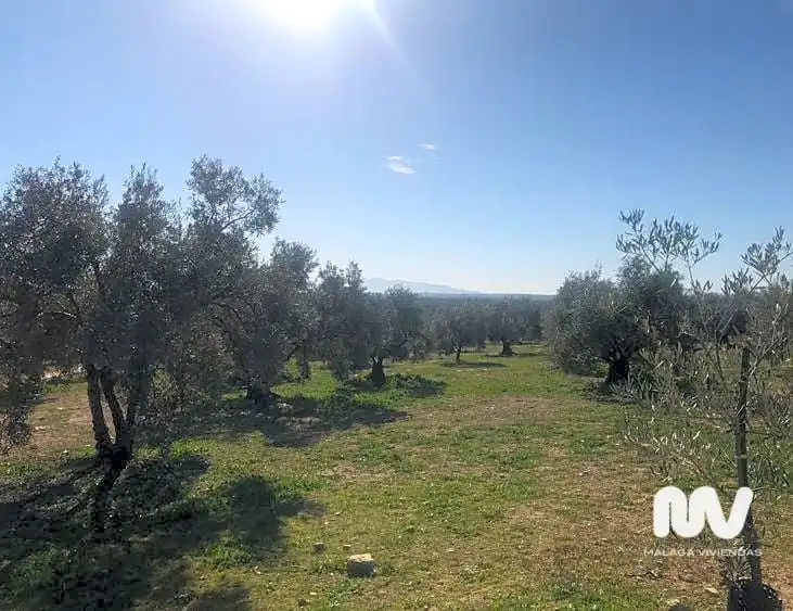 Terreni e lotti in vendita a Paraje de la Doctora, imagen 8