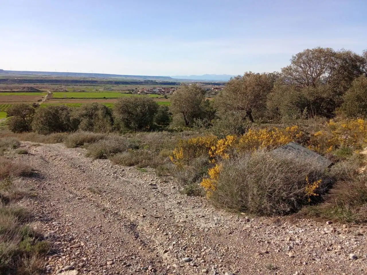Terreno en venta en Alfántega