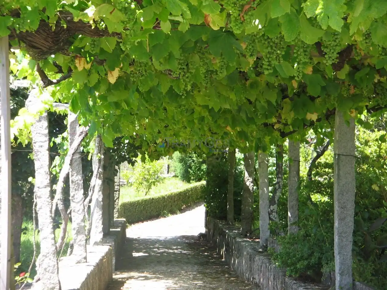 Jardín de Casa o chalet en venta en Vigo  con Jardín privado