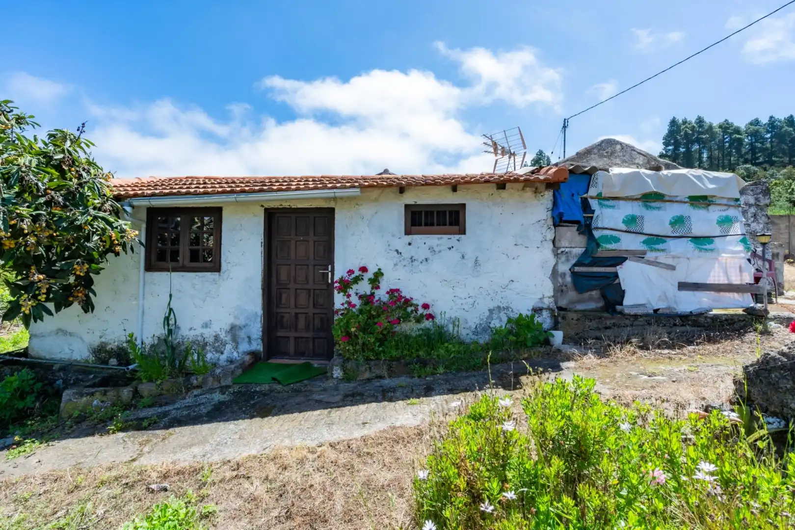 Casa rústica en venta en Icod de los Vinos pueblo, imagen 4
