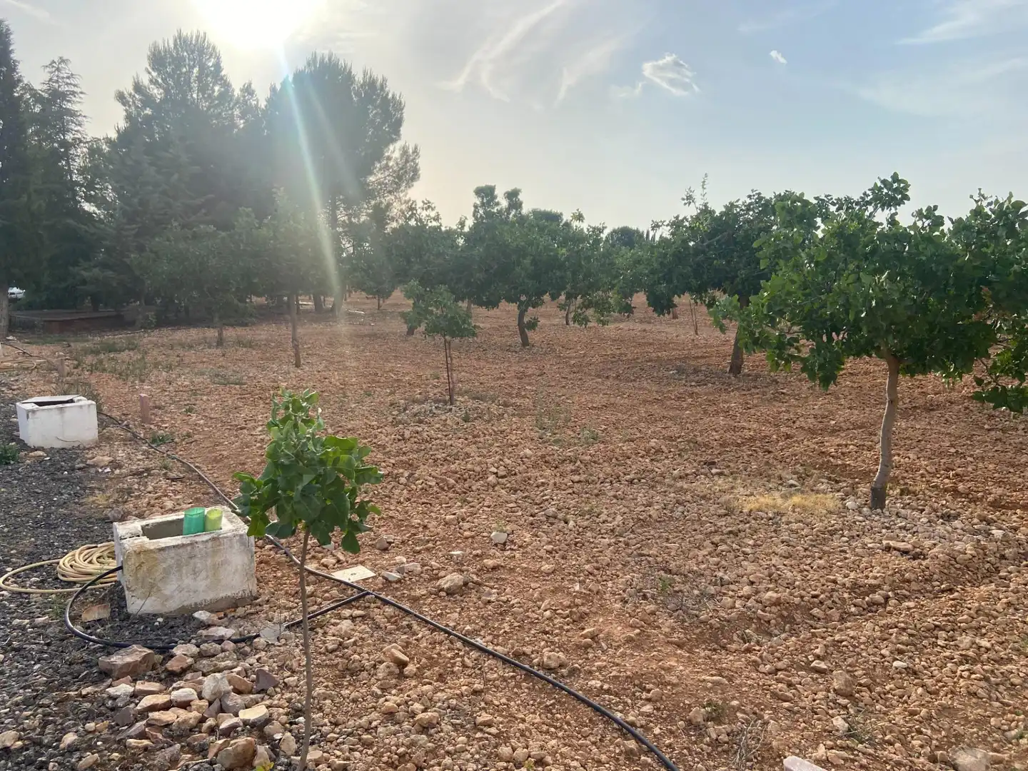 Casa o chalet en venta en Ciudad Real con Aire acondicionado, Calefacción y Jardín privado