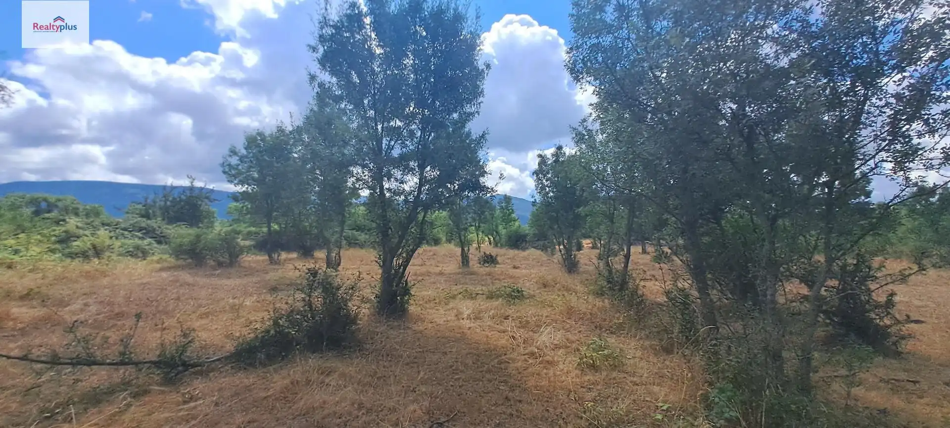 Terreni e lotti in vendita a Sotosalbos, imagen 12