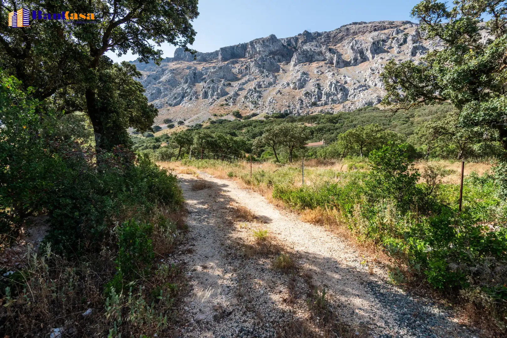 Vista exterior de Finca rústica en venta en Antequera con Jardín privado, Piscina y Amueblado