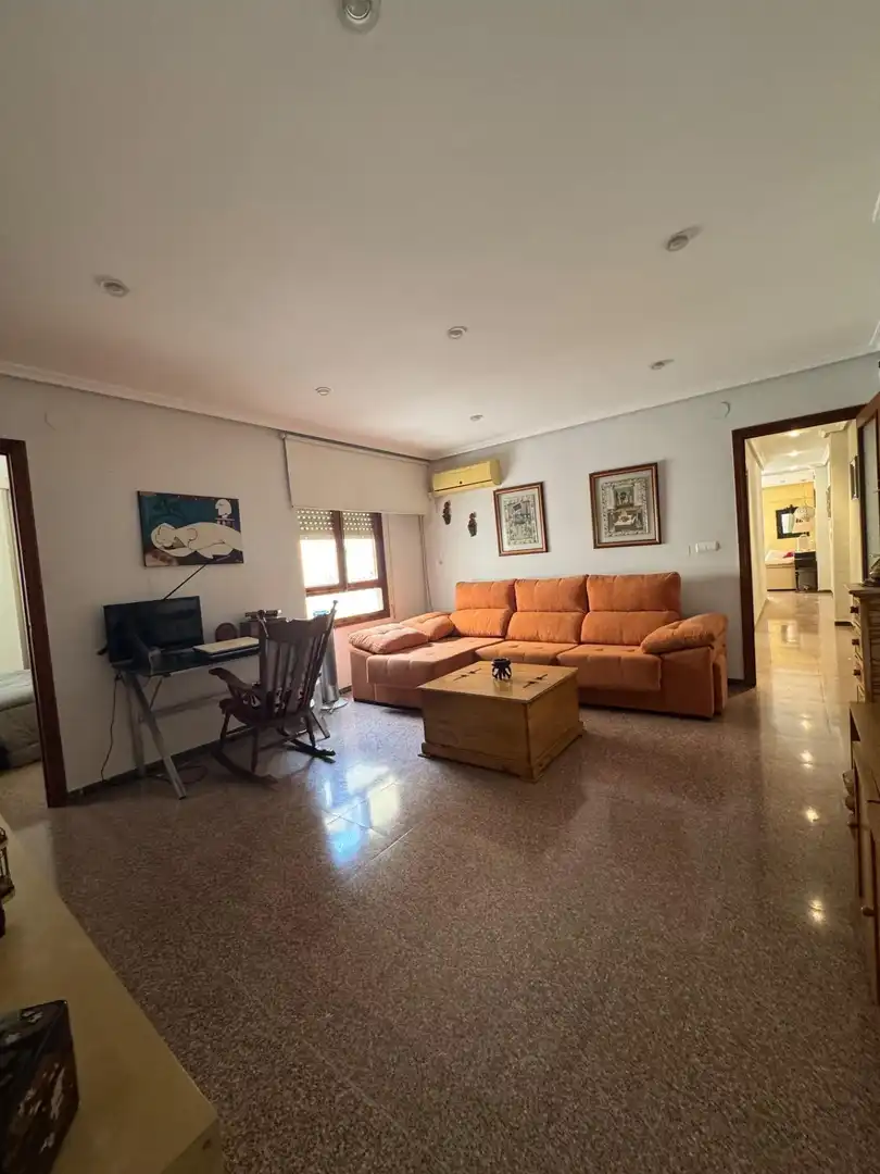 Sala d'estar de Pis en venda en Elche / Elx amb Aire condicionat, Calefacció i Jardí privat