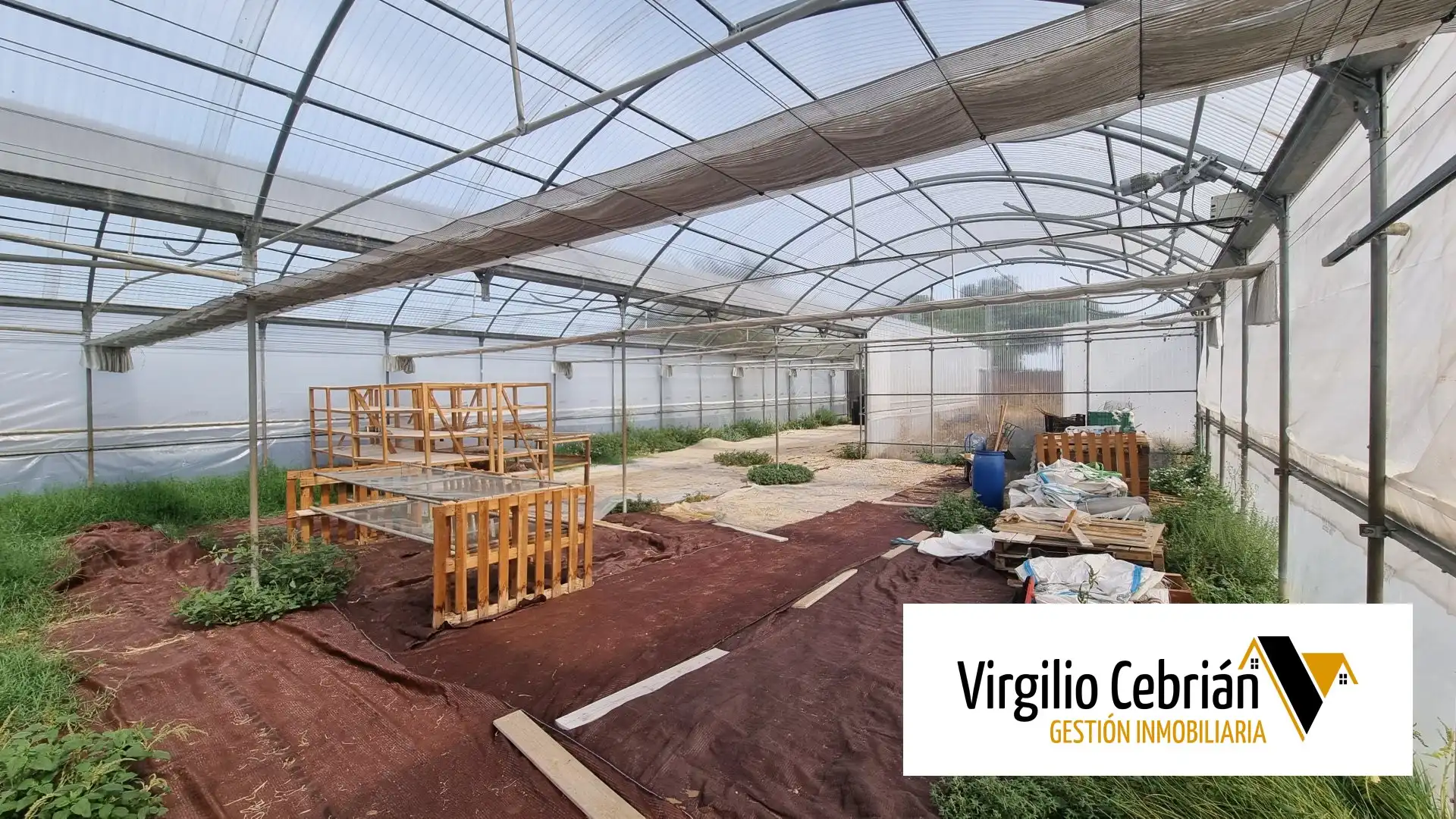 Casa rústica amb jardí en venda a Las Tres Piedras - Costa Ballena, imagen 7