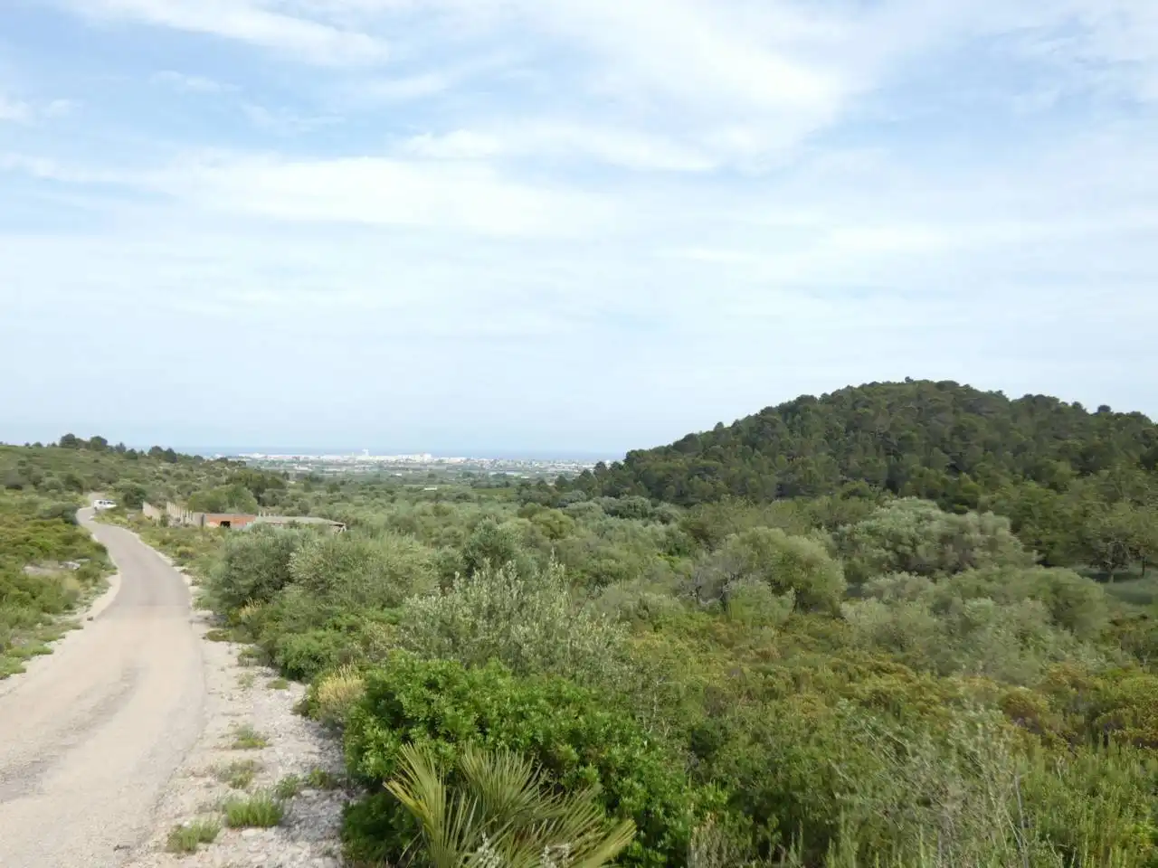 Rural land for sale in Pueblo, imagen 3