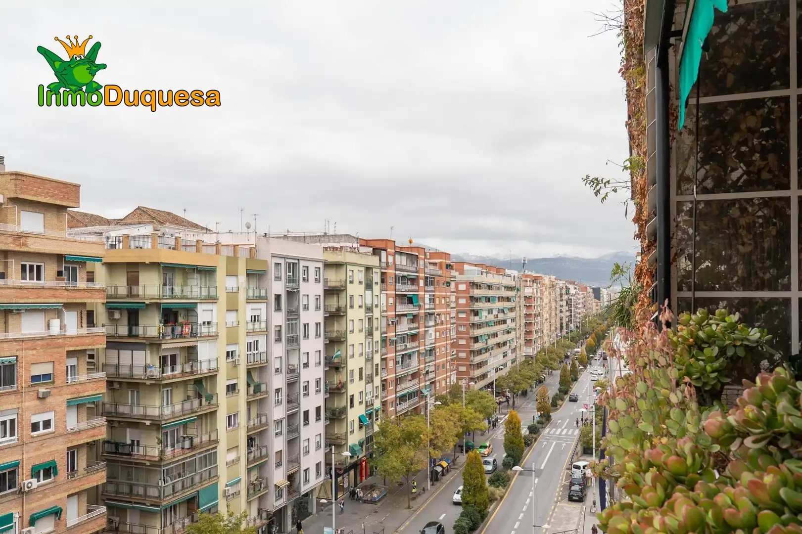 Vista exterior de Àtic en venda en Granada amb Parquet, Terrassa i Traster