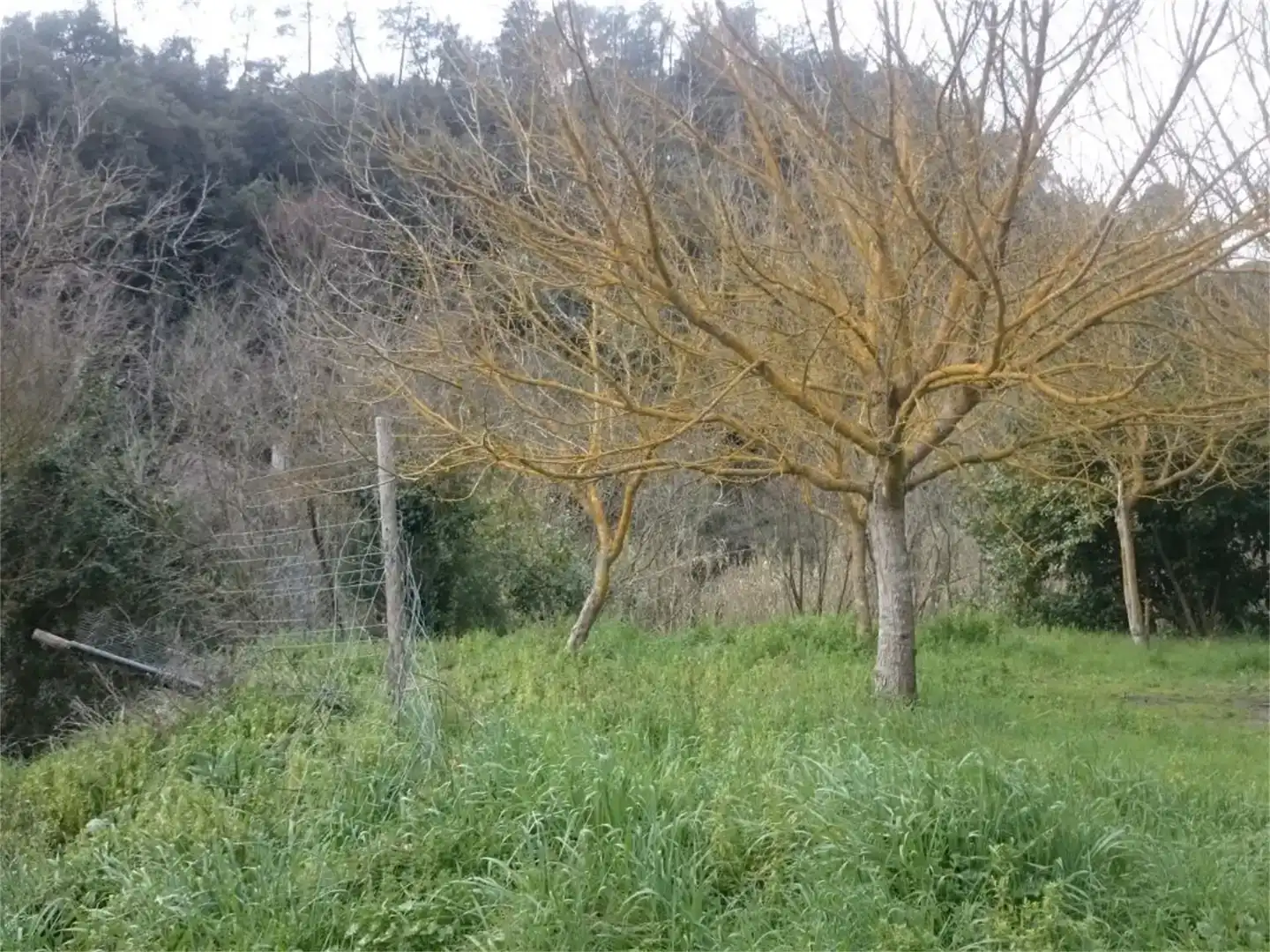 Finca rústica en venda en Tordera