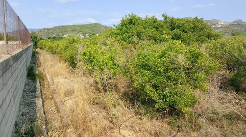 Terreno rústico de 2.525 m en Beniarjó, económico e ideal como huerto personal, immagine 5