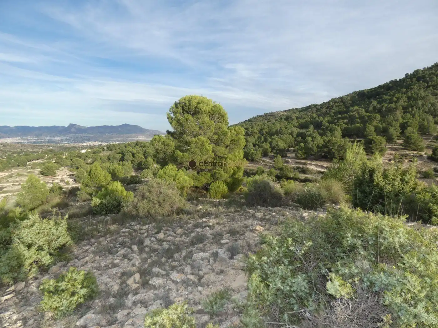 Residential land for sale in Monóvar  / Monòver, imagen 10