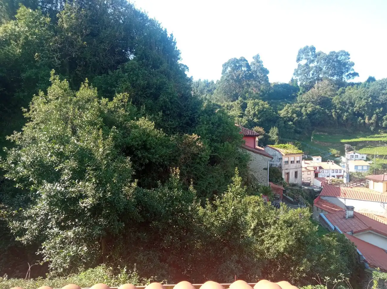 Vista exterior de Finca rústica en venda en Cudillero amb Jardí privat