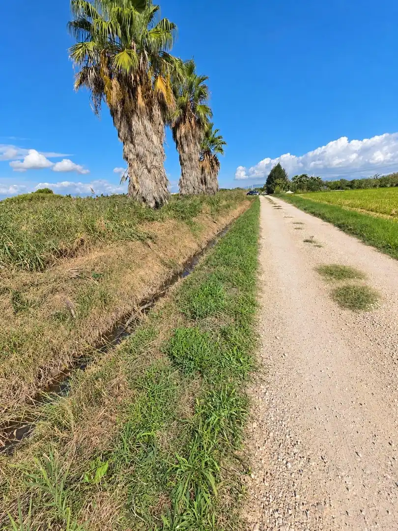 Rural land for sale in Polígono Sèquia de la Figuerola Dreta, imagen 28