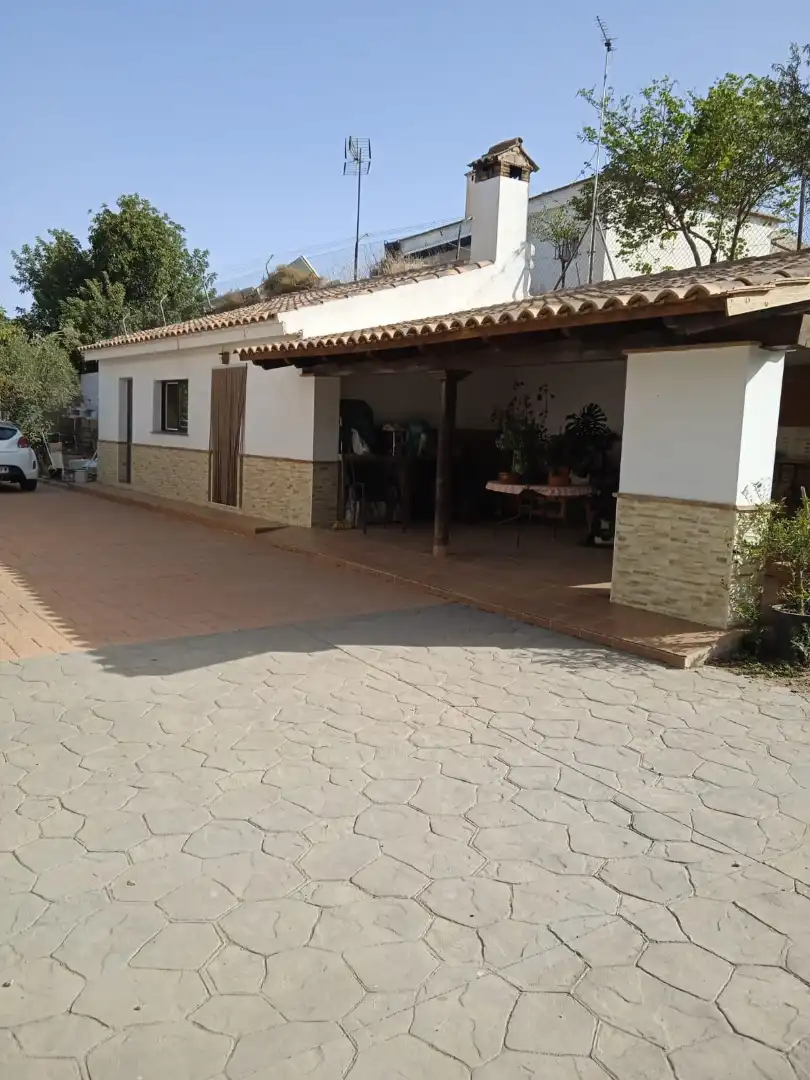 Xalet amb jardí en venda a Calle Sócrates 22, imagen 24