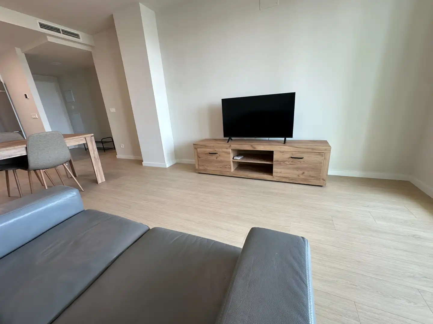 Sala de estar de Piso de alquiler en Valencia con Aire acondicionado, Calefacción y Jardín privado