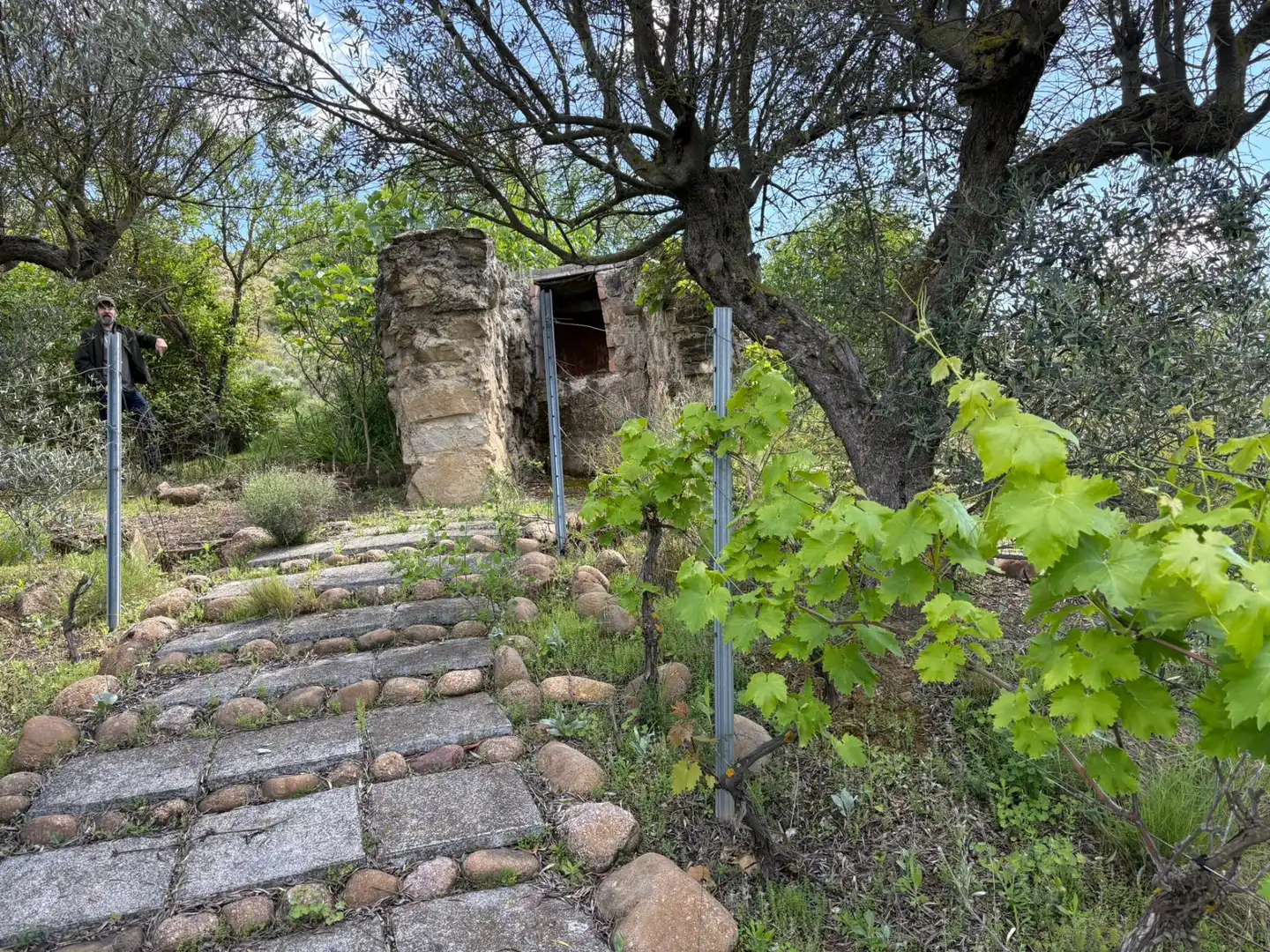 Exterior view of Land for sale in Cenicero