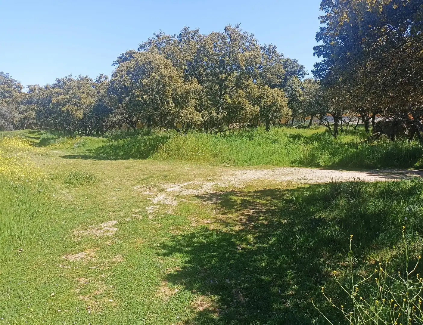 Terreny residencial en venda a Calle Virgen del Pino 41, imagen 3