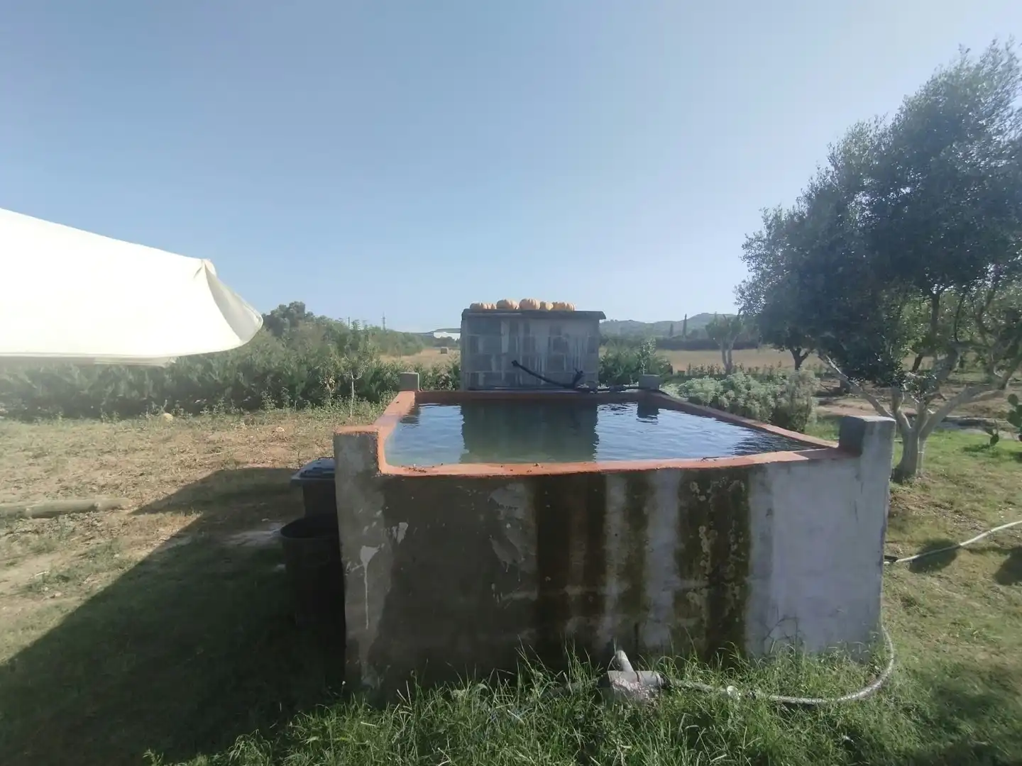 Finca rústica en venda a La Punxa