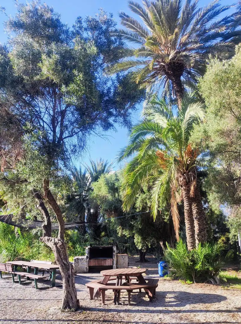 Vista exterior de Pis en venda en Alicante / Alacant amb Calefacció i Piscina comunitària