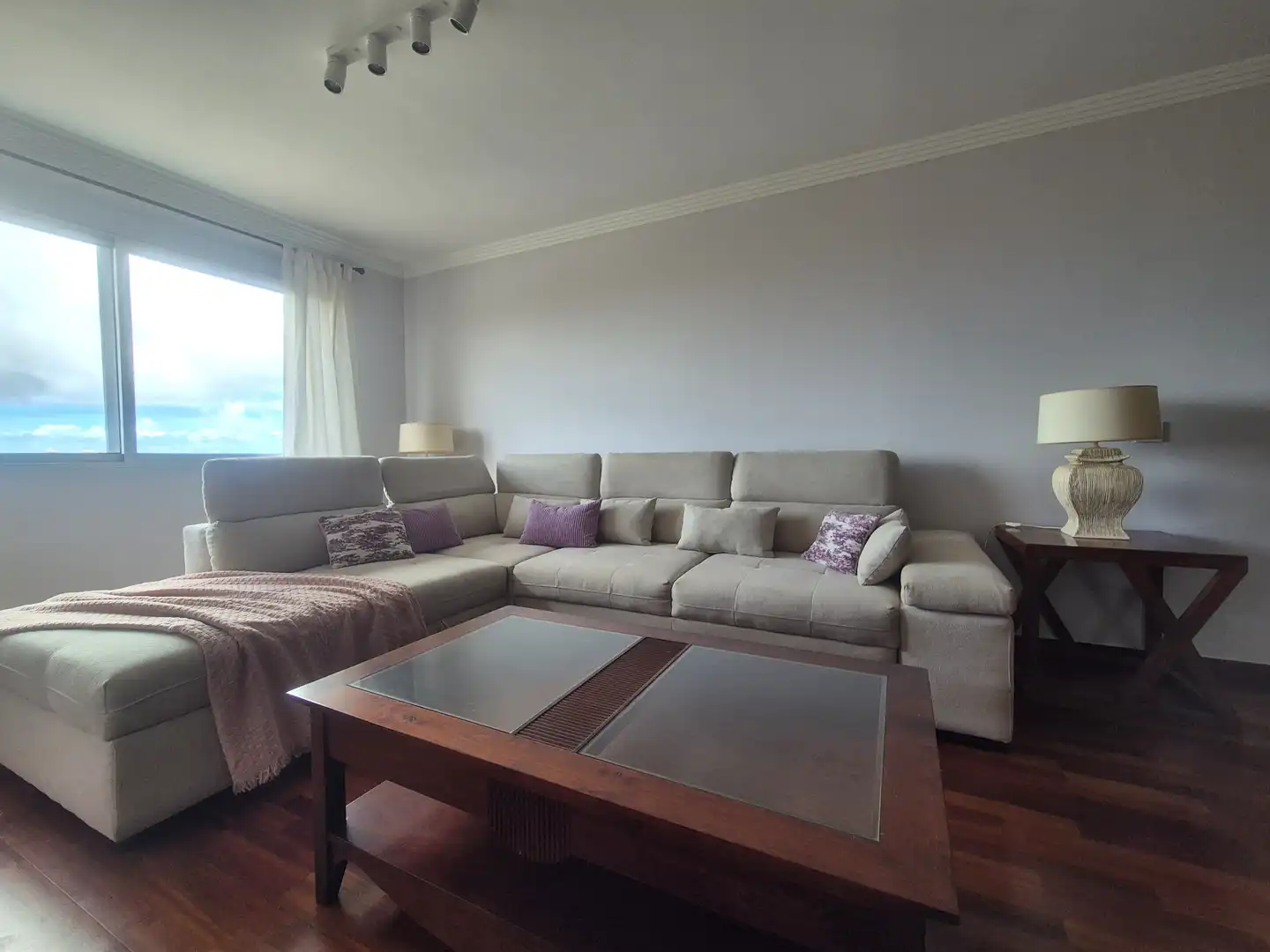 Sala de estar de Piso de alquiler en Las Palmas de Gran Canaria con Jardín privado, Trastero y Amueblado
