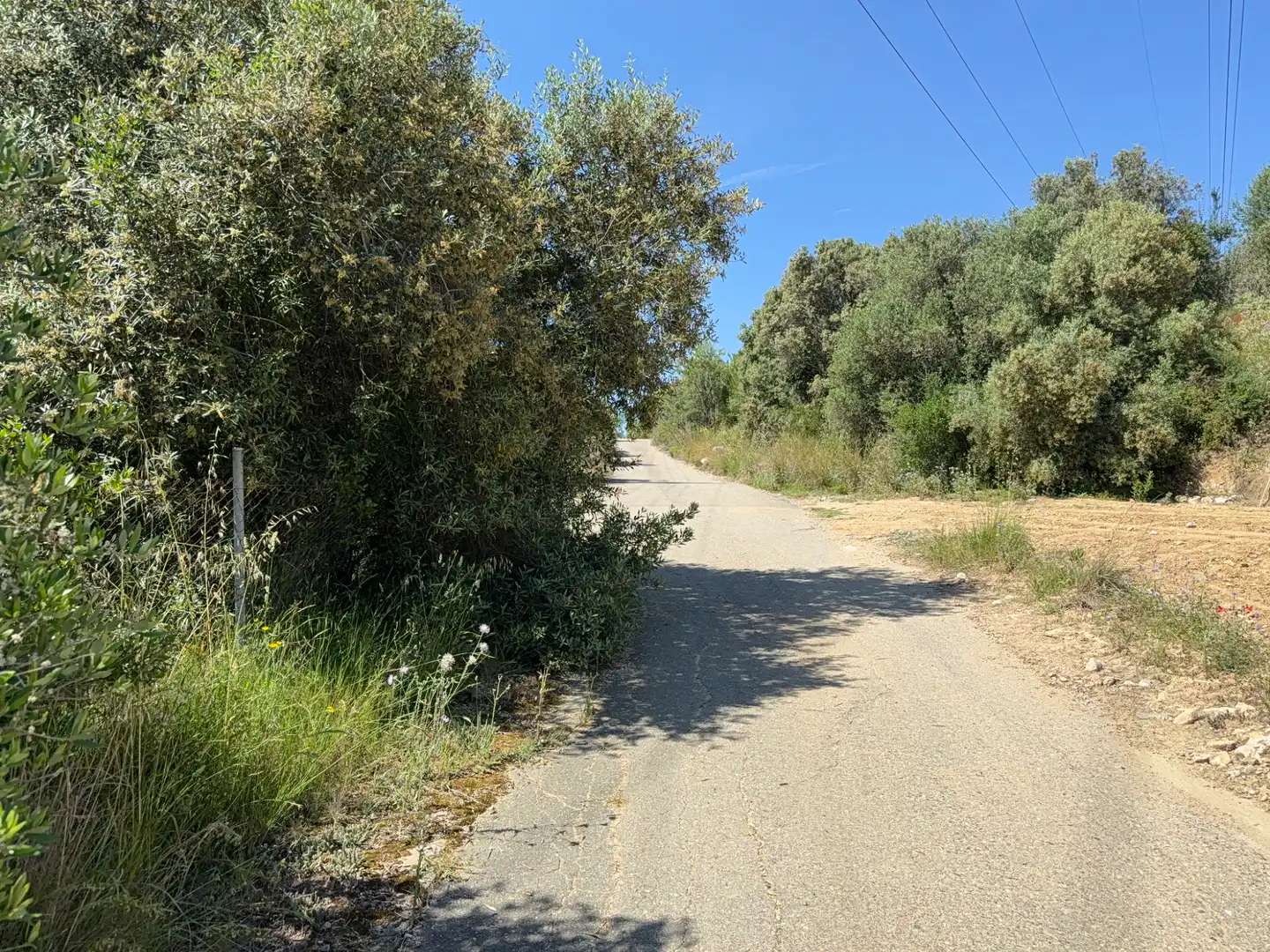 Rustikales Grundstück zum Verkauf in Camí del Cementiri 97, imagen 21
