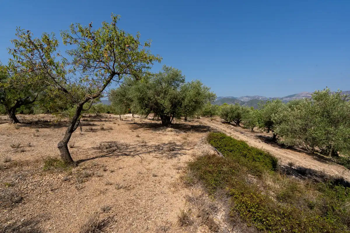 Terrain rustique à vendre à Carrer Barceloneta 15, imagen 12