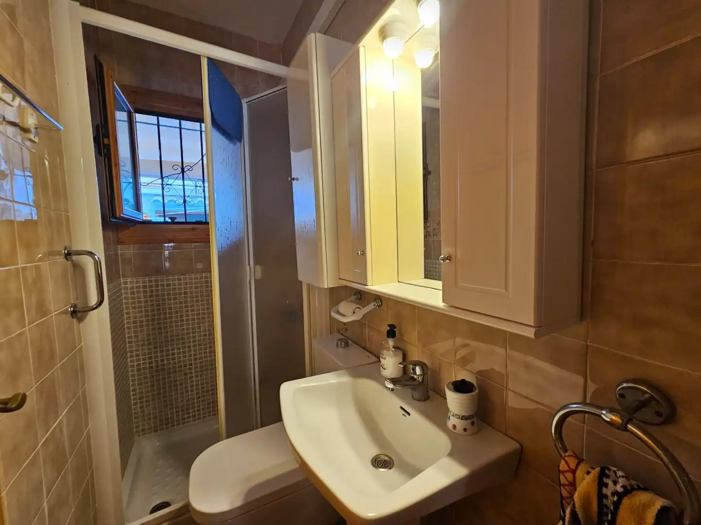 Baño de Casa o chalet en venta en San Javier con Jardín privado y Amueblado
