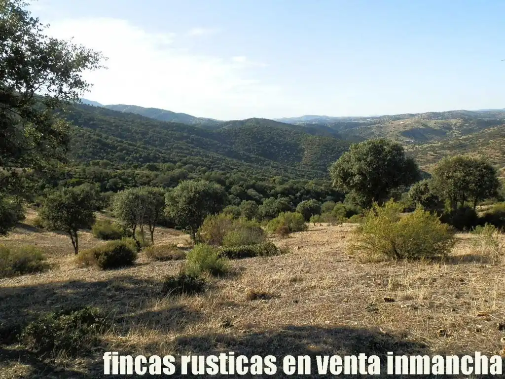 Rustikales Grundstück zum Verkauf in Avenida Ciudad Real Pol N 7, imagen 7