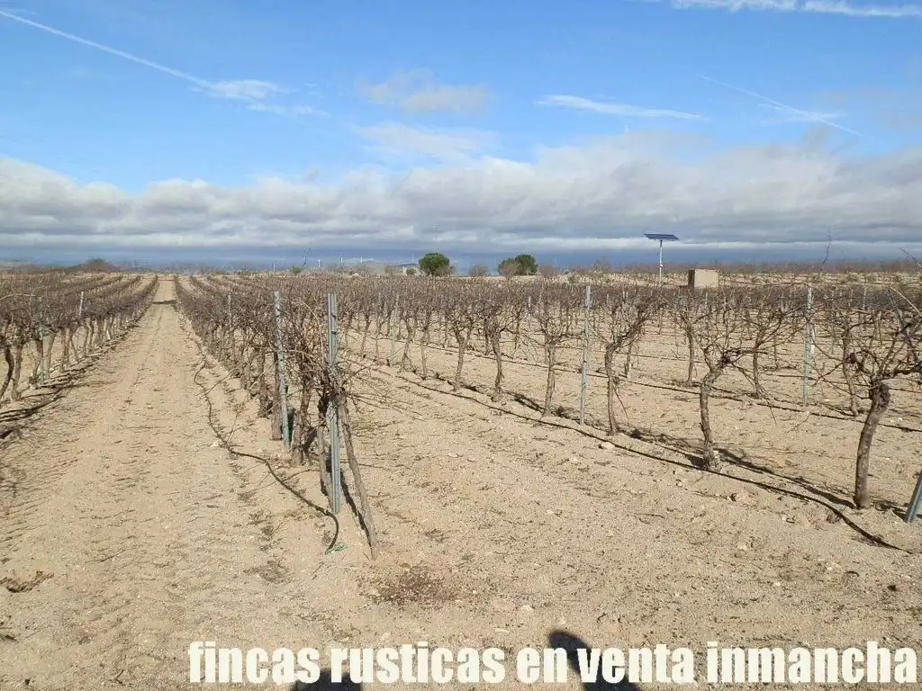 Vista exterior de Terreno en venta en Mora