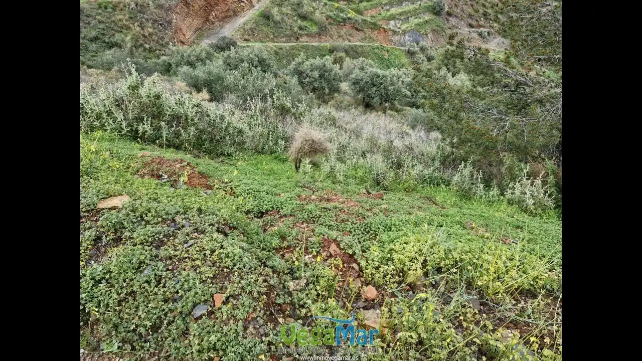 Grundstücke und Bauplätze zum Verkauf in Pista del Cerval, imagen 18