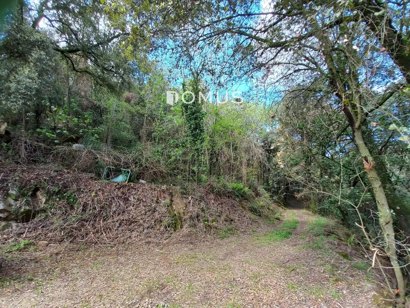 Finca rústica en venta en Sant Joan Les Fonts