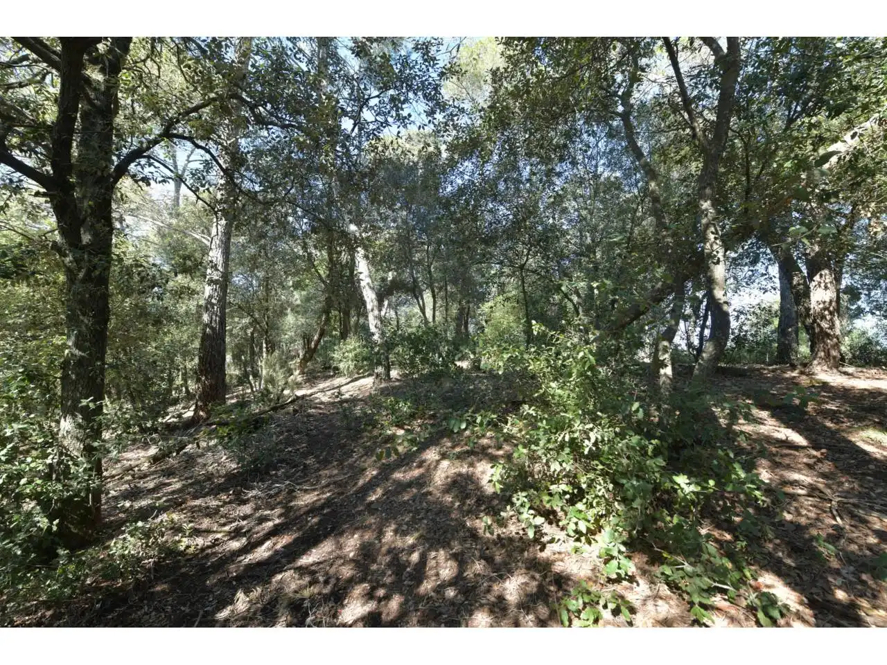 Wohnbaugrundstück zum Verkauf in El Racó - Sant Feliu del Racó, imagen 15