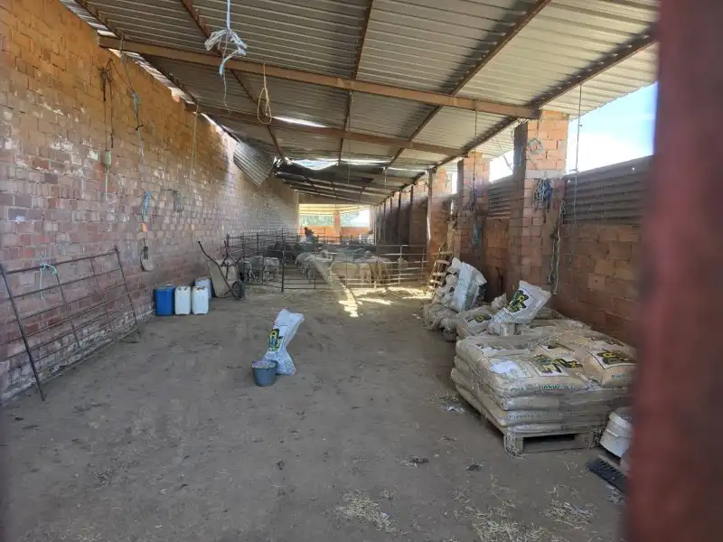 Terreni e lotti in vendita a Alcántara, imagen 31