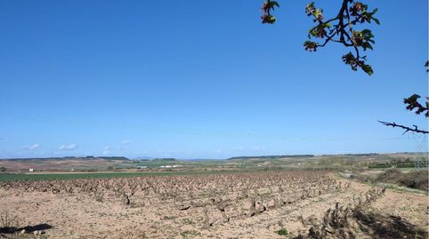 FINCA RÚSTICA - ALBERITE (), immagine 4