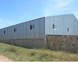 Exterior view of Industrial buildings for sale in Moral de Hornuez