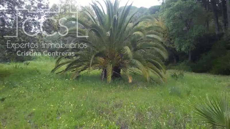 Casa rústica en venda a Almonte ciudad, imagen 14