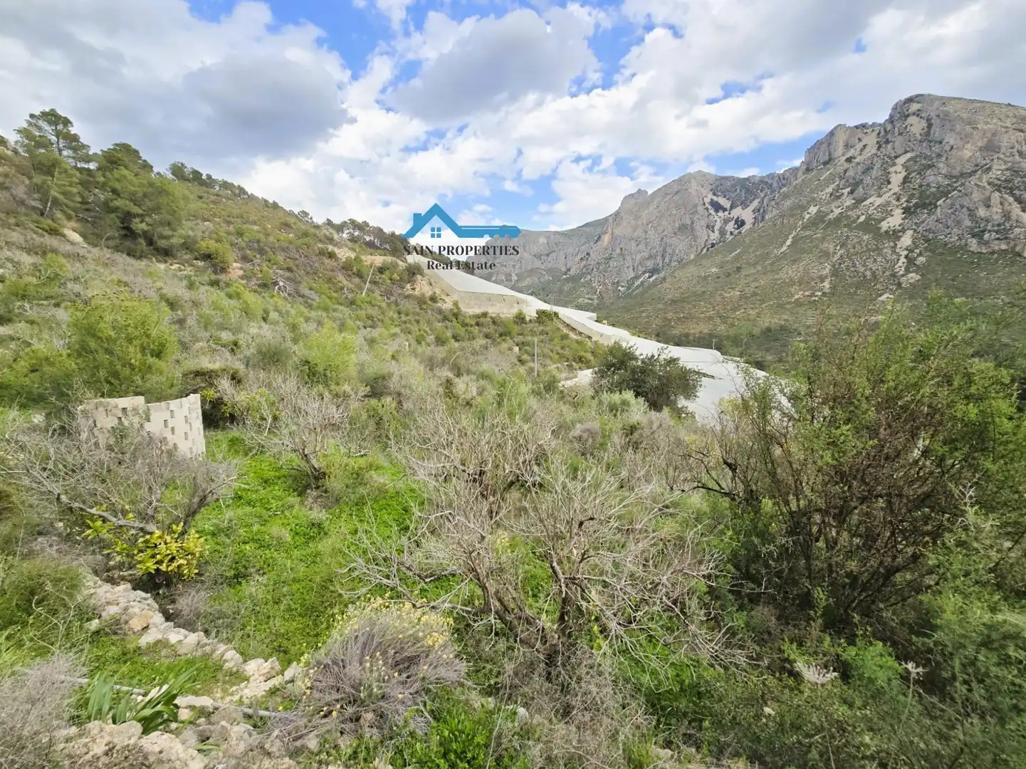 Terreny rústic en venda a Callosa d'en Sarrià, imagen 9