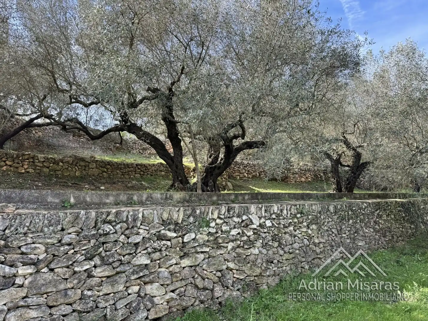 Terreno rústico en venta en L'Aldea, imagen 41