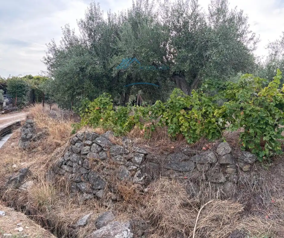 Casa rústica en venda a Jarandilla de la Vera, imagen 17