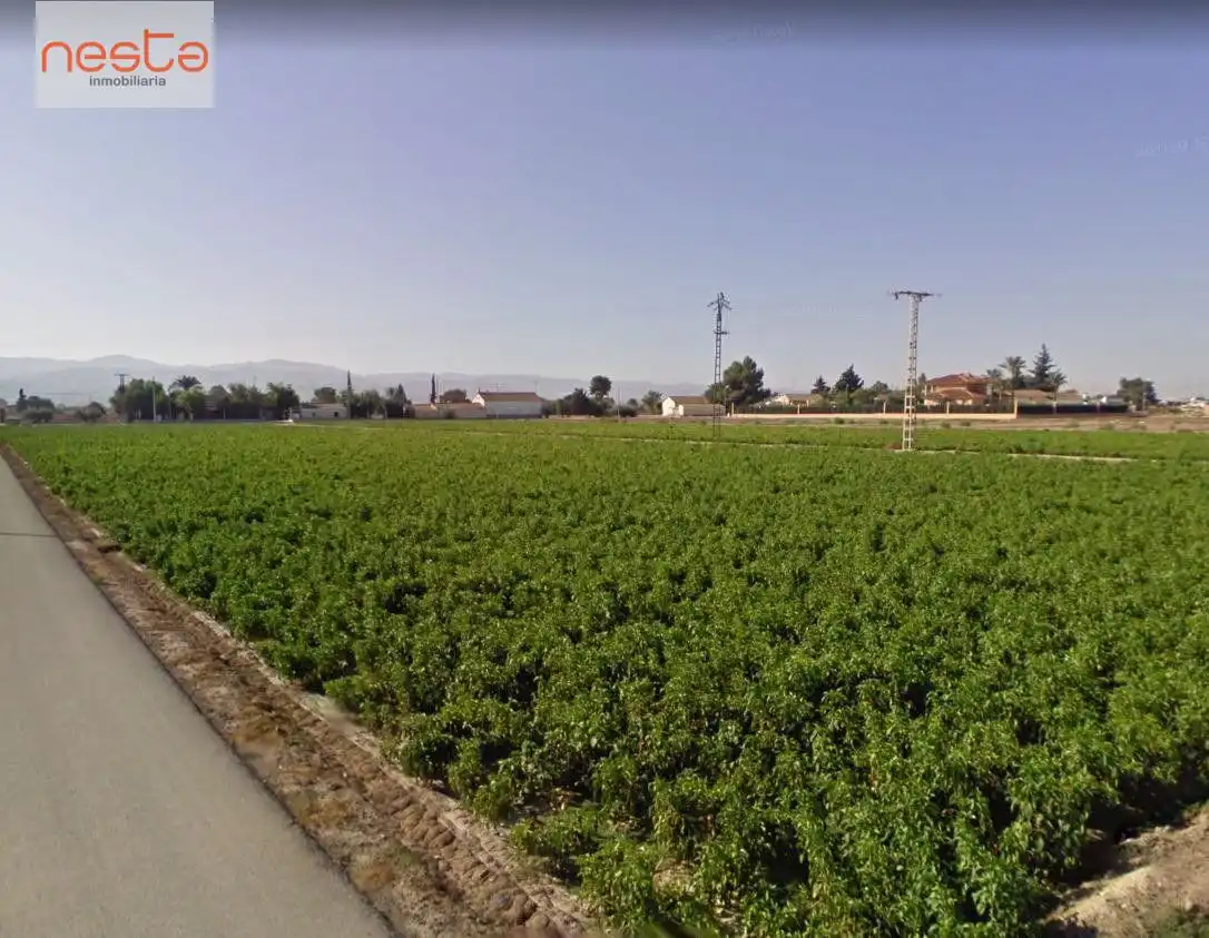 Terreny residencial en venda a Pedanías Centro, imagen 4