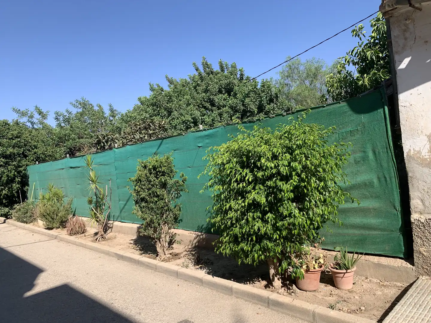 Finca rústica en venta en Pasaje la Ermita, Albujón