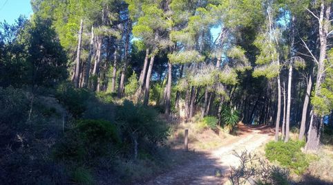 Photo 3 of Land for sale in Diseminado Carretera a Andratx, Estellencs, Illes Balears