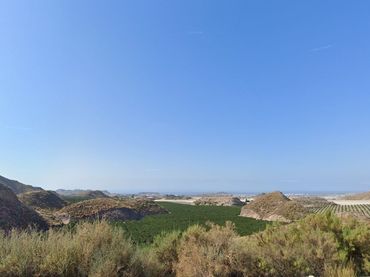 Terreno rustico in vendita a Las Majadas-Las Molinetas-Labradorcico
